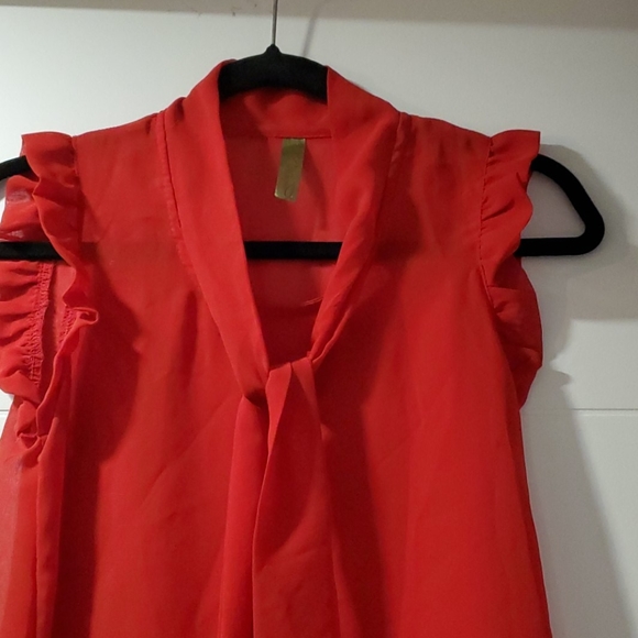 Whisper sleevless red sheer blouse - Picture 2 of 4